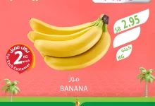 480662544 973637141571289 5220748989868659520 n - عروض اسواق المزرعة صفحة واحدة الثلاثاء 18 فبراير 2025 اليوم فقط