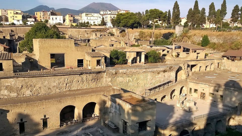 جبل Vesuvius مرئي في الخلفية في الموقع الأثري لهركولانيوم. - بيير باولو بترون
