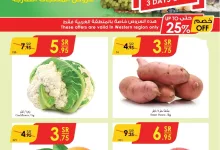 عروض الدانوب جدة الطازج صفحة واحدة الاحد 3 شعبان 1446هـ لمدة 3 ايام 9 الدانوب جدة الطازج page 2 - عروض الدانوب جدة الطازج صفحة واحدة الاحد 3 شعبان 1446هـ لمدة 3 ايام