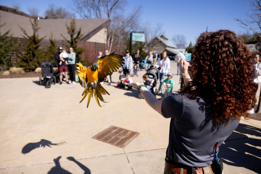 (الصورة عبر حديقة الحيوان نوكسفيل)