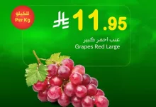 عروض العثيم صفحة واحدة الاثنين 10-3-2025 اليوم فقط 12 476960677 1044107964416451 970072411485691523 n - عروض العثيم صفحة واحدة الاثنين 10-3-2025 اليوم فقط