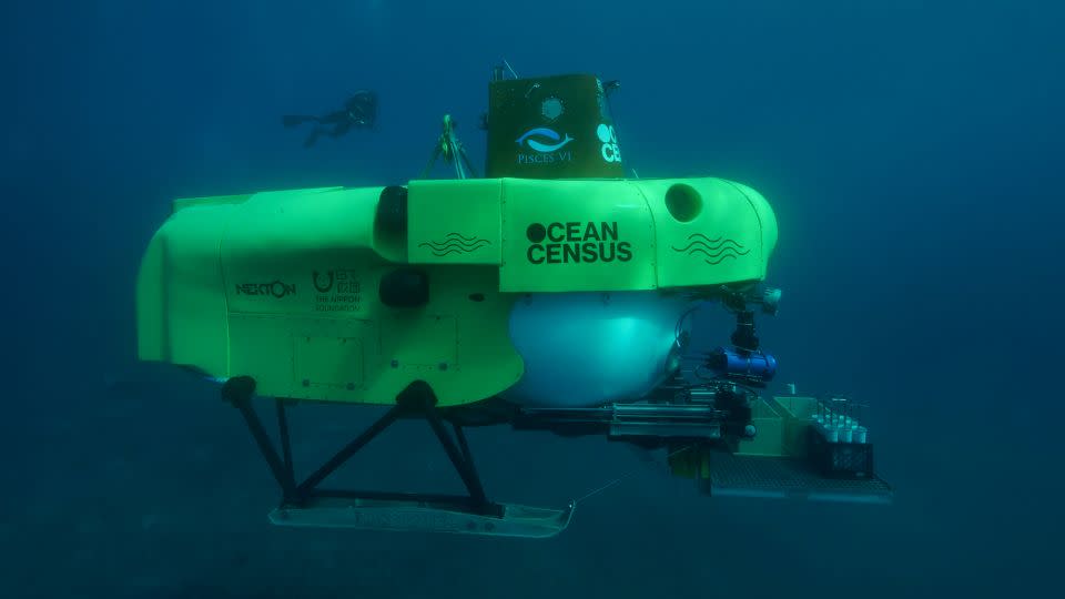 حدد العلماء الأنواع غير المعروفة سابقًا على مدار 16 شهرًا. - Nekton Ocean Census/The Nippon Foundation