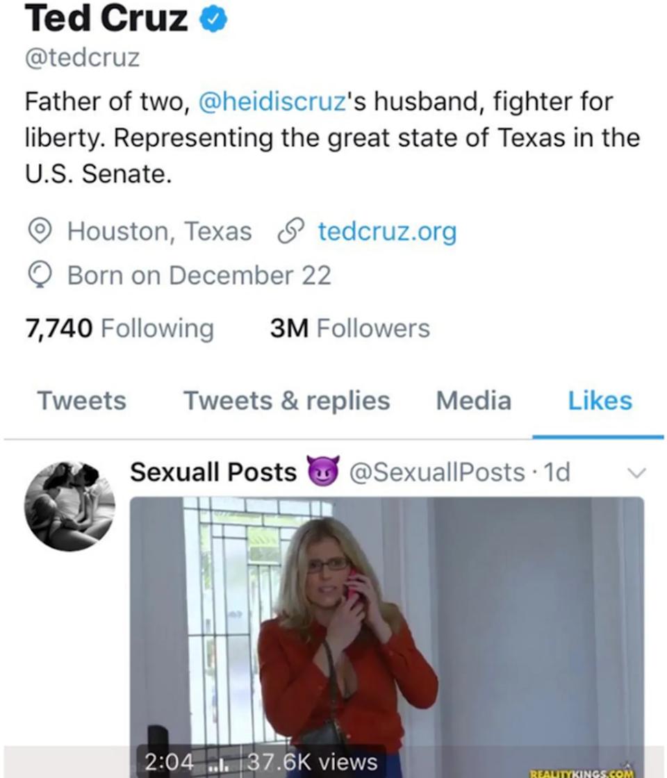 لقطة شاشة تعرض نشاط Ted Cruz على Twitter ونشاطها ، مع تسليط الضوء على مقطع فيديو أحبه الحساب