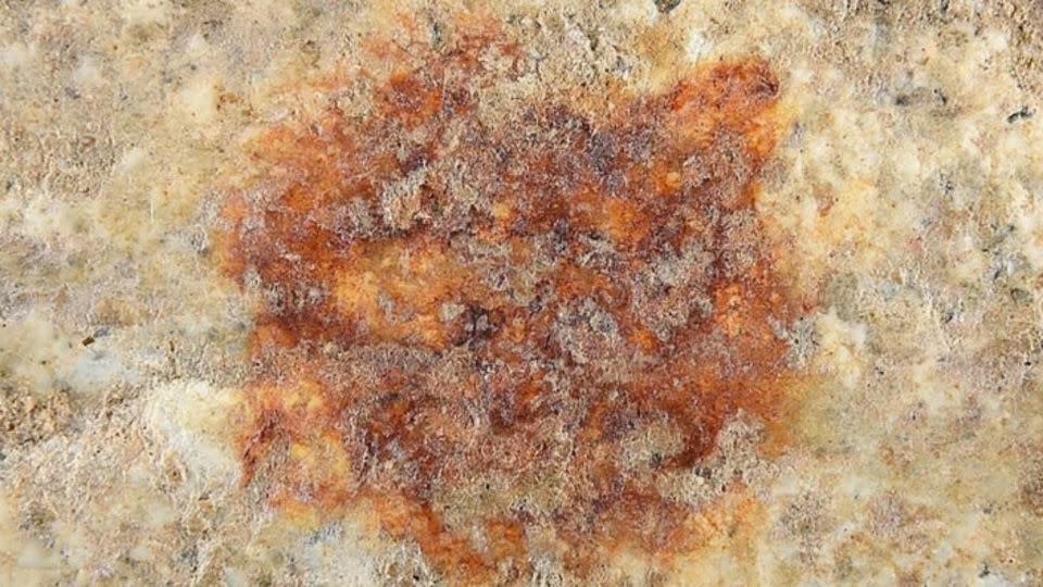 حوالي 43000 عام ، هذه العلامة هي أقدم بصمات أصابع بشرية كاملة معروفة. -álvarez-alonso ، D. ، de Andrés-Herrero ، M. ، Díez-Herrero ، A. et al./springer nature