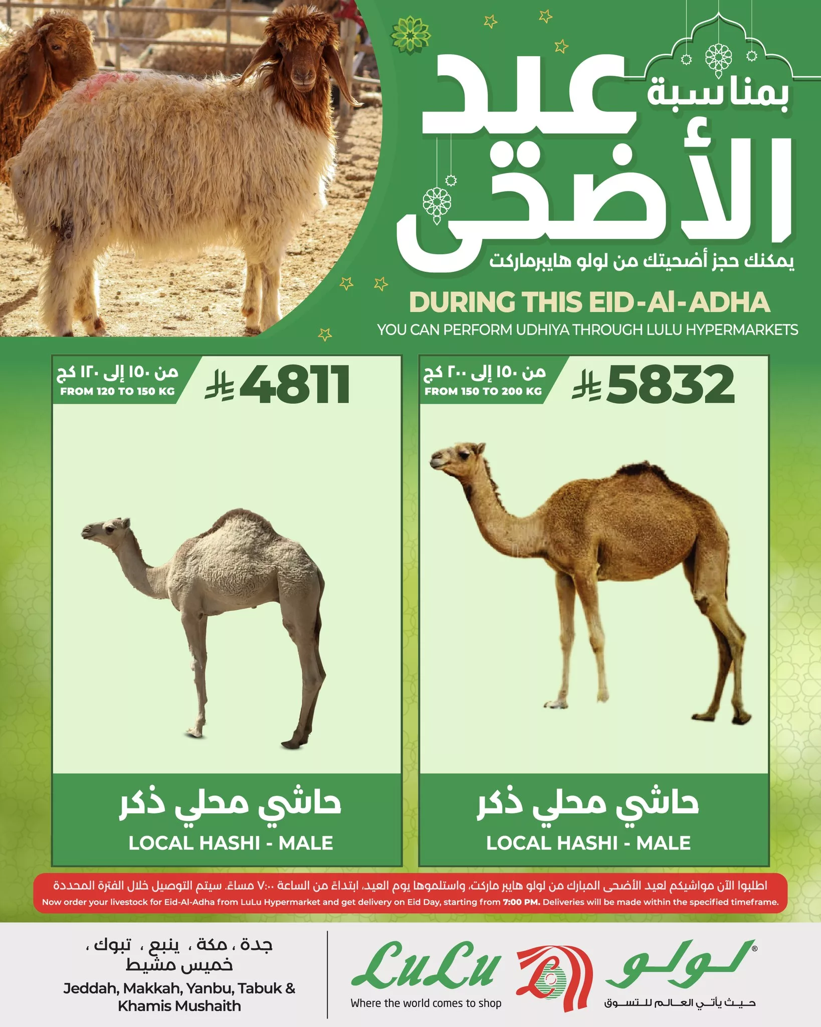 عروض لولو جدة صفحة واحدة علي اضحية العيد | احجز اضحيتك الآن لفترة محدودة 5 493900261 1146370080862602 7360623452416111353 n - عروض لولو جدة صفحة واحدة علي اضحية العيد | احجز اضحيتك الآن لفترة محدودة