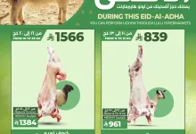 عروض لولو هايبر ماركت لتوفير الأضاحي بمناسبة عيد الأضحى 2025 في جدة و تبوك 12 494582605 1154076350091975 1415764653931342480 n - عروض لولو هايبر ماركت لتوفير الأضاحي بمناسبة عيد الأضحى 2025 في جدة و تبوك