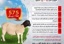 497459999 18063843878084493 9051044830687410562 n - عروض لحوم بلخير علي اضحية العيد بجدة | تخفيضات عيد الاضحي