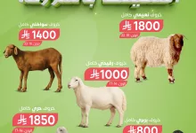 497944153 1046668330934836 7864288775849692651 n - عروض اسواق المزرعة علي أضاحي العيد - متوفر في جميع الفروع أحجز الآن