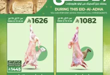 عروض لولو جدة صفحة واحدة علي اضحية العيد | احجز اضحيتك الآن لفترة محدودة 10 499937149 1146369800862630 5638622307568056546 n - عروض لولو جدة صفحة واحدة علي اضحية العيد | احجز اضحيتك الآن لفترة محدودة