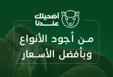 عروض بنده علي أضاحي العيد من أجود الأنواع و أفضل الاسعار 7 500040174 1100267248802853 533039741015168288 n - عروض بنده علي أضاحي العيد من أجود الأنواع و أفضل الاسعار