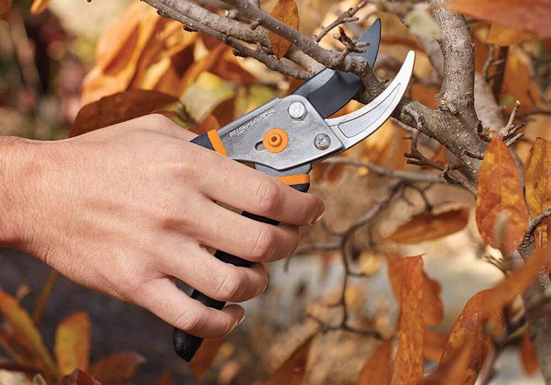 يد تستخدم مقصات Fiskars Steel Bypass لقطع الفرع