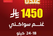 7 11 - عروض الأضاحي في السعودية: وفر واحتفل مع A ماركت – عرض غنم سواكني 2025