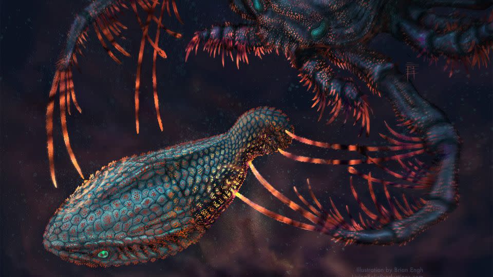 يوضح الرسم التوضيحي لهذا الفنان Astraspis الذي يتعرض له مهاجمة من قبل Megalograptus Sea-Scorpion في المياه الضحلة المظلمة. يمثل توهج الهياكل الخارجية التفاعلية للحيوانات كيف كان كلاهما سيحسس العالم من حولهم. - براين إنغ/النسخ المعيشة