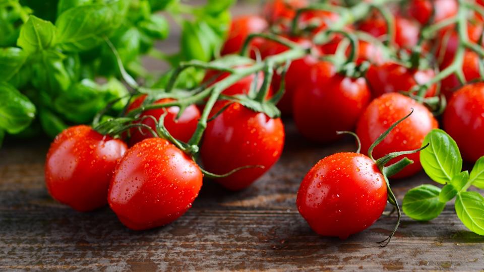طماطم كرز حمراء طازجة مع الريحان على خلفية خشبية ريفية ، تركيز انتقائي