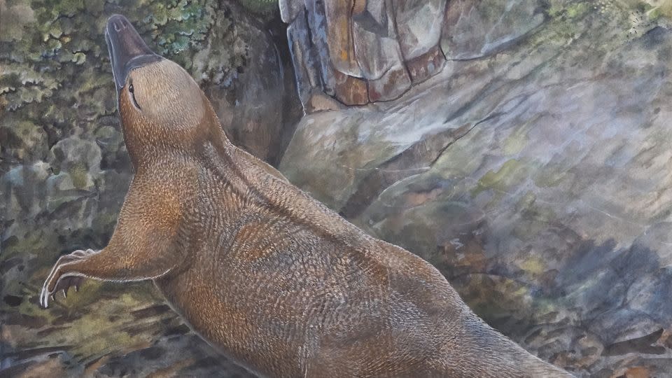 انطباع الفنان يصور Kryoryctes في Dinosaur Cove في أستراليا. تدعم البحوث الجديدة الفرضية القائلة بأن Kryoryctes هو سلف مشترك لكل من Platypus و Echidna. - بيتر شوتن