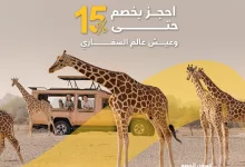 عروض الطيران المميزة في السعودية – عرض Flyin إلى أبوظبي يونيو 2025 3 1 18 - عروض الطيران المميزة في السعودية – عرض Flyin إلى أبوظبي يونيو 2025