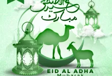 عروض عيد الأضحى من أسواق النخبة – من 5 إلى 11 يونيو 2025 4 1 47 - عروض عيد الأضحى من أسواق النخبة – من 5 إلى 11 يونيو 2025