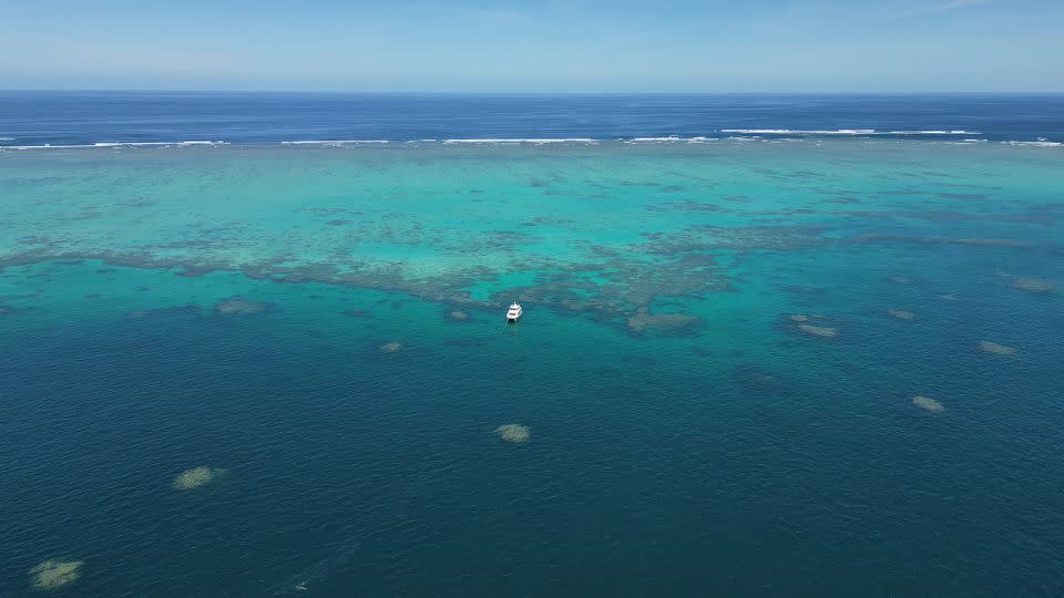 يغطي Great Barrier Reef منطقة واسعة في المحيط الهادئ قبالة شمال شرق أستراليا. - توم بوث/سي إن إن