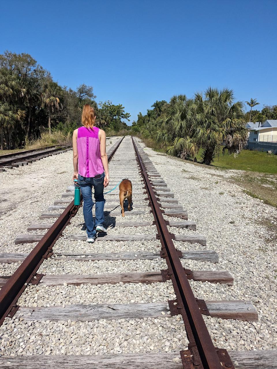 لم يتم استخدام مسارات السكك الحديدية هذه بالقرب من Riverside Park في وسط مدينة Bonita Springs بواسطة القطارات منذ أكثر من 15 عامًا. مع وجود بيع الأراضي الآن ، يمكن أن تبدأ الخطط لتحويل هذا إلى ممر متعدد الاستخدامات عبر منطقة وسط المدينة شمالًا إلى طريق أليكو.