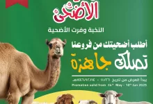 عروض اسواق النخبة علي اضاحي العيد حتي الثلاثاء 10 يونيو 2025 | احجز و تصلك جاهزة 7 502991272 18405658210100094 1298393714712077390 n - عروض اسواق النخبة علي اضاحي العيد حتي الثلاثاء 10 يونيو 2025 | احجز و تصلك جاهزة