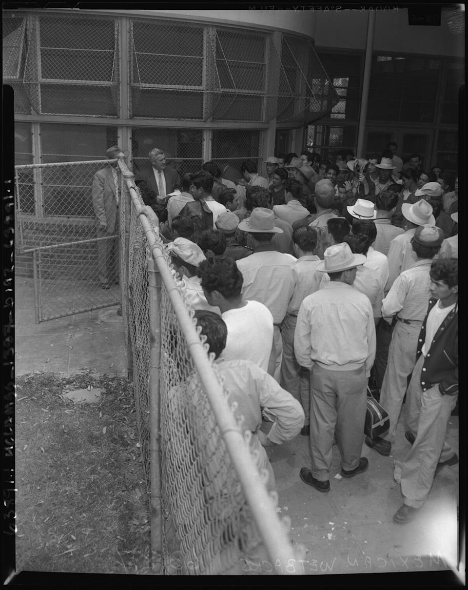 1954 صورة للعمال المكسيكيين غير الموثقين في انتظار الترحيل من قبل السلطات الأمريكية إلى المكسيك.