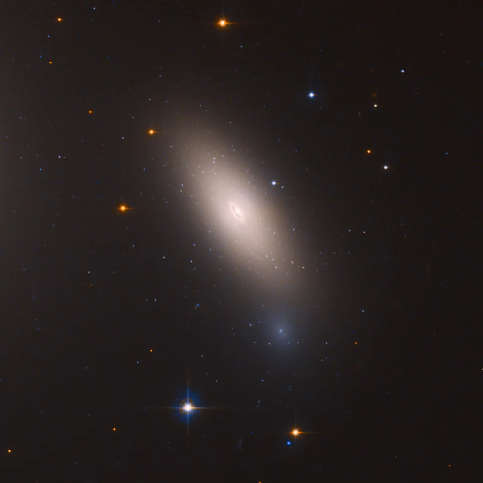 تُظهر صورة Telescope Hubble Space Telescope Galaxy NGC 1277 ، وهي فريدة من نوعها من حيث أنها تعتبر بقايا على شكل المجرات في الكون المبكر. يتكون NGC 1277 حصريًا من نجوم الشيخوخة التي ولدت قبل 10 مليارات سنة.