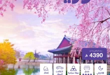 1 203 - استمتع بعروض السفر الفاخرة إلى كوريا مع الراجحي للطيران – برنامج 6 ليالي يبدأ من 4390 ريال