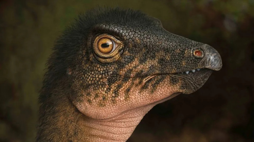 صورة من ثيكلوسوروس ، ديناصور ornithopod مع فقرات تشبه تلك الموجودة في قلب الصخور. - متحف أندري أتوشين/دنفر للطبيعة والعلوم