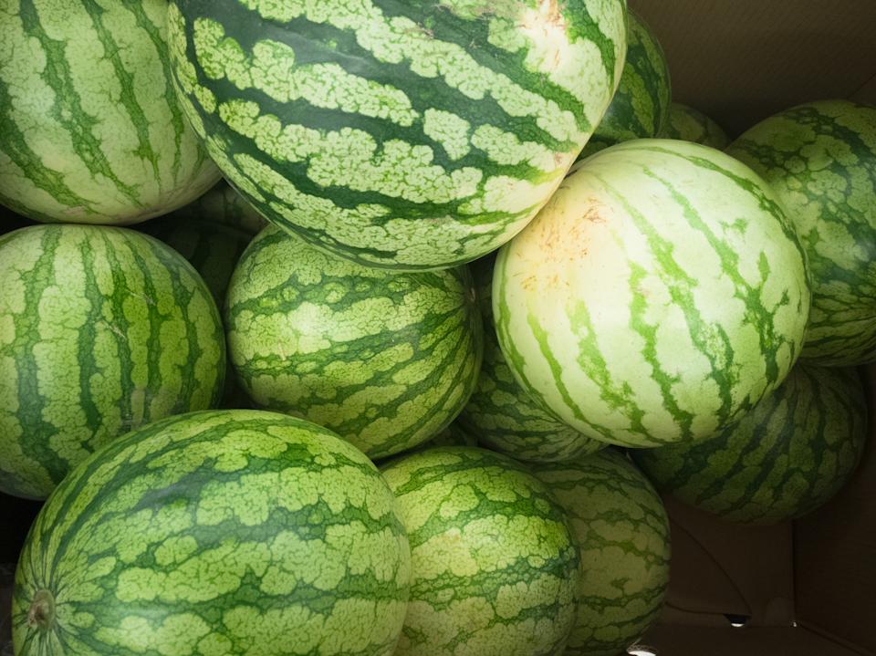 البطيخ للبيع في كشك السوق