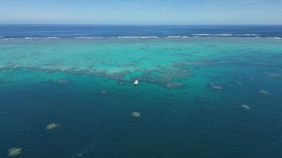 يغطي Great Barrier Reef منطقة واسعة في المحيط الهادئ قبالة شمال شرق أستراليا. - توم بوث/سي إن إن