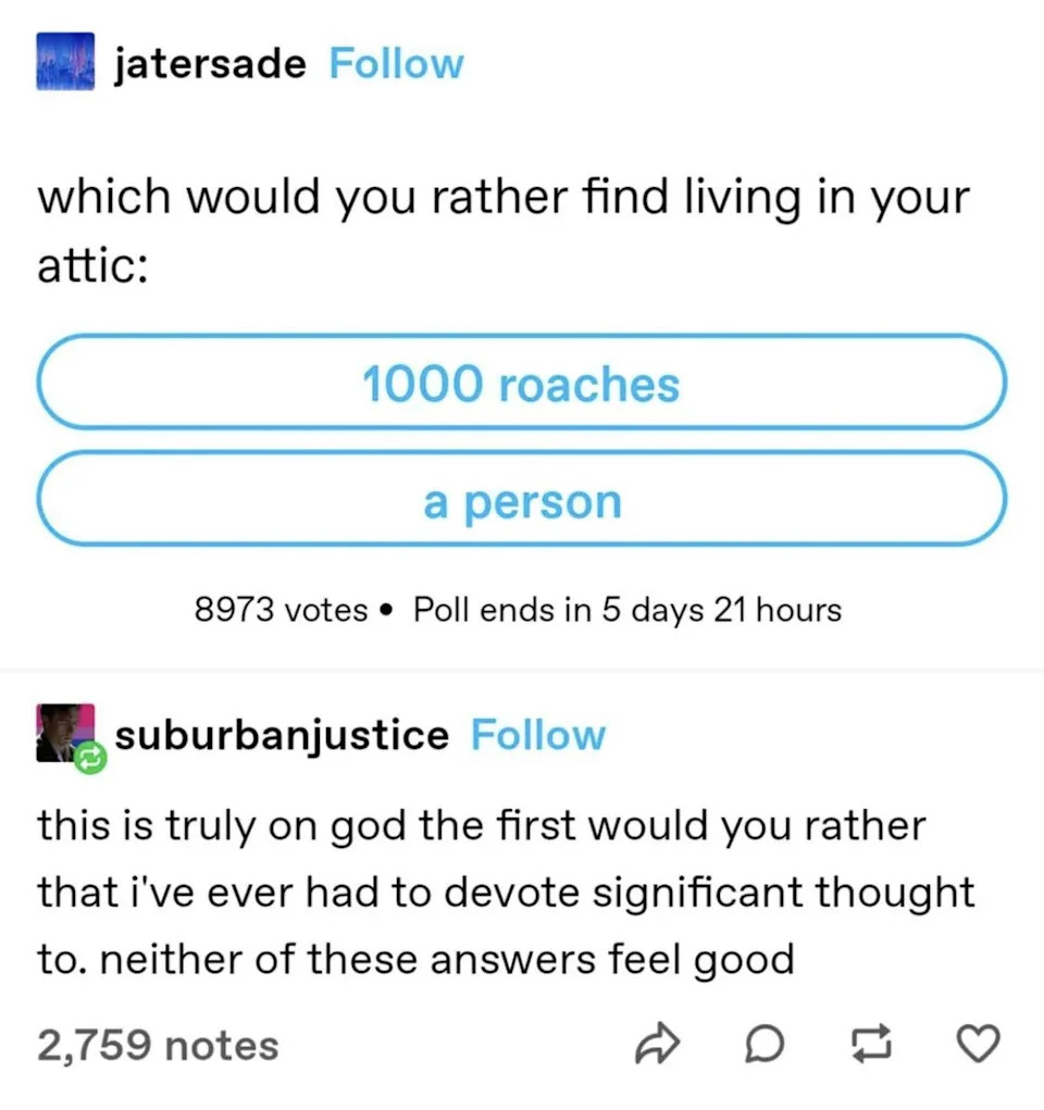 شخص ما يسأل هل تفضل 1000 صراصير أو شخص في هجومك ويستجيب شخص ما أن هذه هي المرة الأولى التي اضطررت فيها إلى تكريس الكثير من الوقت لك.