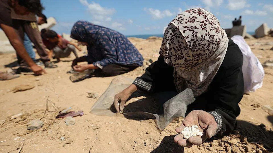 تبحث النساء الفلسطينيات عن الرمال عن البقوليات أو الأرز في نوسائر في قطاع غزة المركزي خلال مهمة Airdrop فوق الأراضي الفلسطينية التي تصور إسرائيل في 5 أغسطس 2025. المرأة على اليمين لديها طراز رأس بيج مع زهور المارون وفستان أسود على. المرأة على يسارها لها وشاح رأس أزرق.
