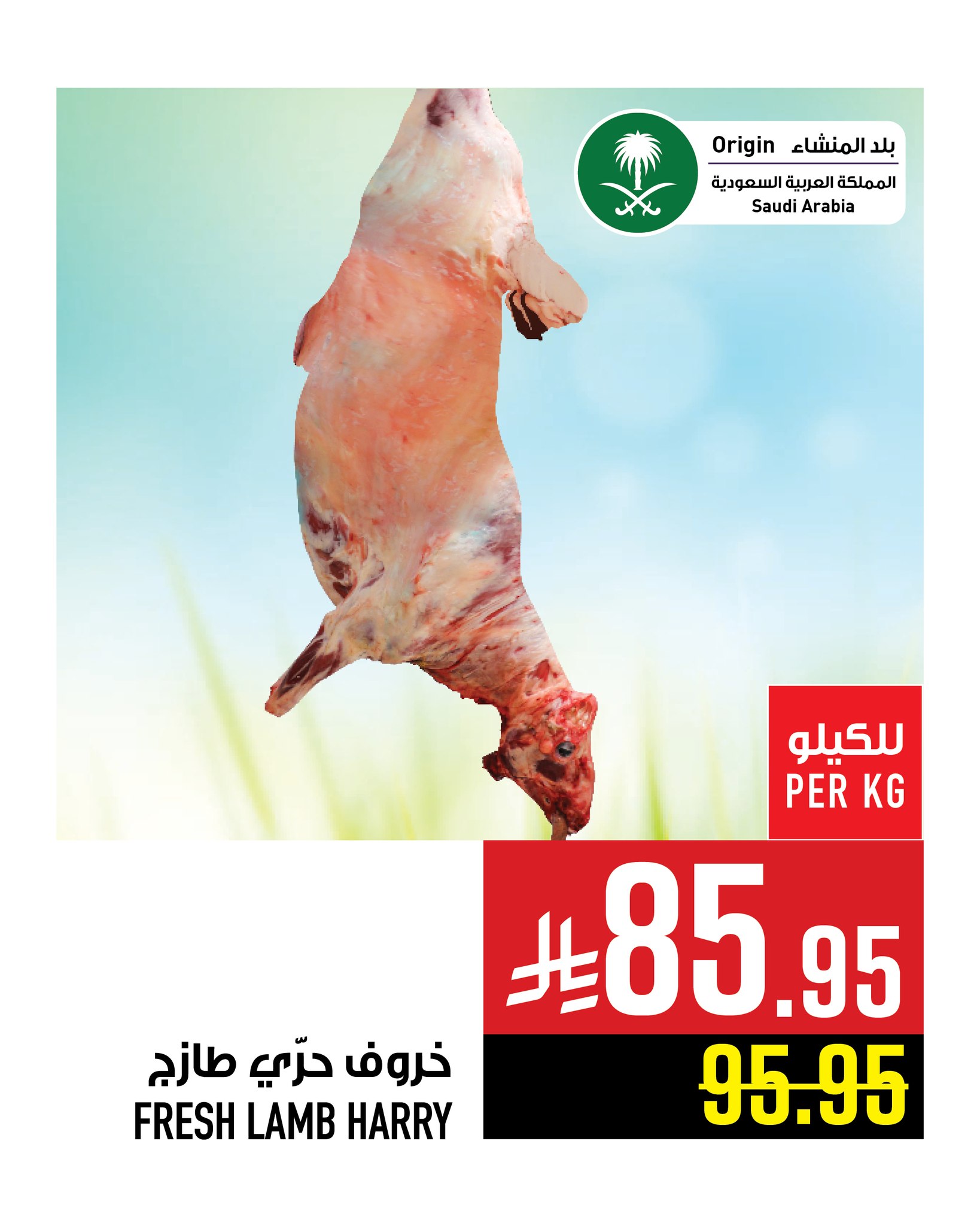 عروض ابراج هايبر ماركت الاسبوعية حتي الثلاثاء 12-8-2025 | اقل الاسعار 4 528734323 1241896517982534 5080824924445731519 n - عروض ابراج هايبر ماركت الاسبوعية حتي الثلاثاء 12-8-2025 | اقل الاسعار