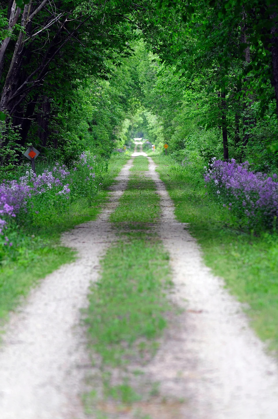 Wild Goose State Trail Highway 49 مدخل.