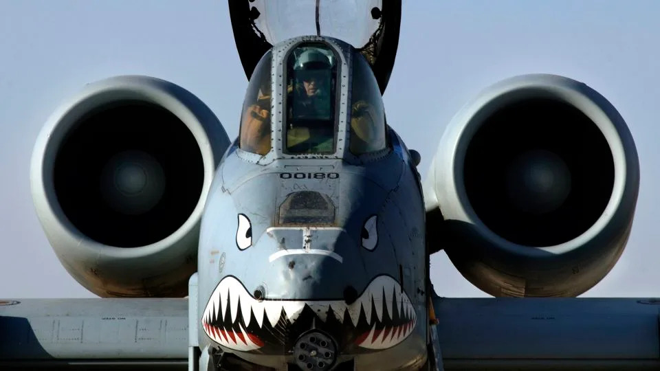 تم تصوير طائرة هجوم من سلاح الجو الأمريكي A-10 في العراق في عام 2004. يعيش فن الأنف الأيقوني الطائر على أسطول A-10. - الرقيب الرئيسي. سيسيليو ريكاردو/سلاح الجو الرقمي/الولايات المتحدة