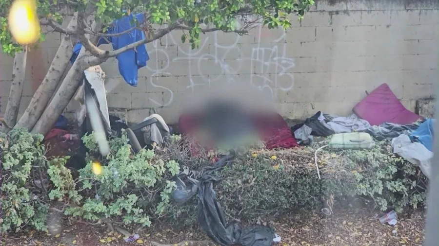 يمكن رؤية النشاط الجنسي المستمر في معسكر المشردين من قبل الجيران. (KTLA)