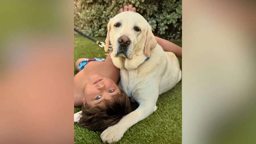 شوهد صبي صغير ، ماكسويل ، مع والده في صورة مقدمة بعد وفاته المأساوية في 31 أغسطس 2025. (GoFundMe)