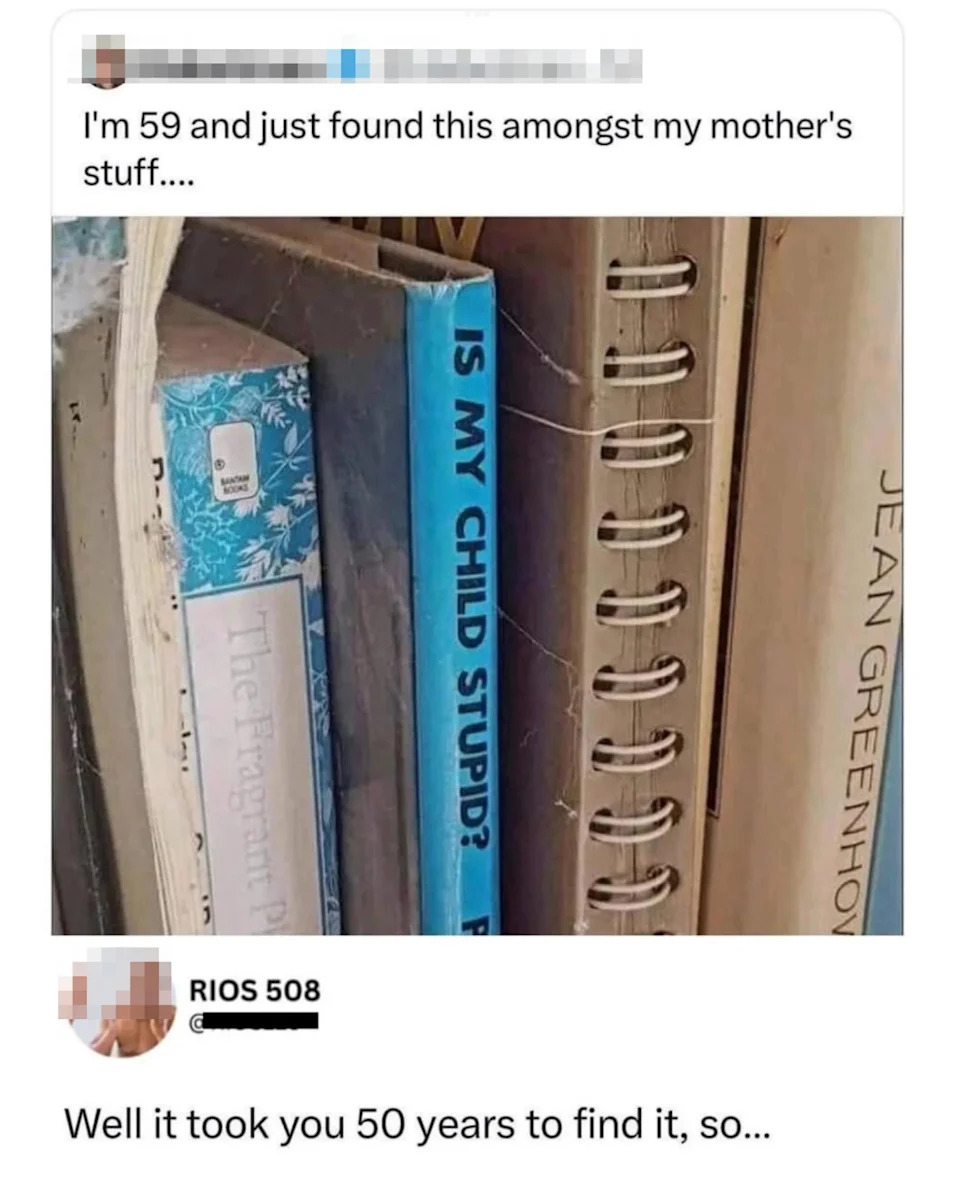 تويت من قبل Hetbeman يعرض كتاب بعنوان "هل طفلي غبي؟" حطمت RIOS 508 للتعليق بشكل فكاه في الوقت الذي استغرقته للعثور عليه