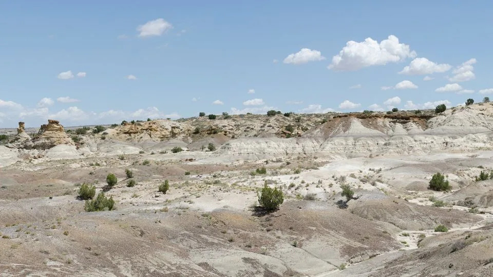 يحتوي حوض سان خوان على طبقات صخرية متعددة تظهر الوقت الذي عاشت فيه الديناصورات والثدييات المبكرة في المنطقة. - دانييل ج.بيبي