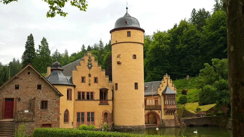 قلعة Mespelbrunn محاطة بغابة