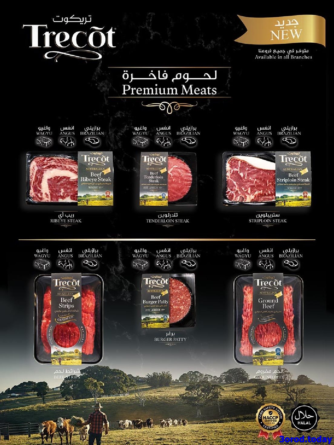 عروض بن داود مكة المكرمة الاسبوعية الاربعاء 1-10-2025 مهرجان الشاي 8 img9b79be70a1f58b678a7a74eb999dd98c - عروض بن داود مكة المكرمة الاسبوعية الاربعاء 1-10-2025 مهرجان الشاي