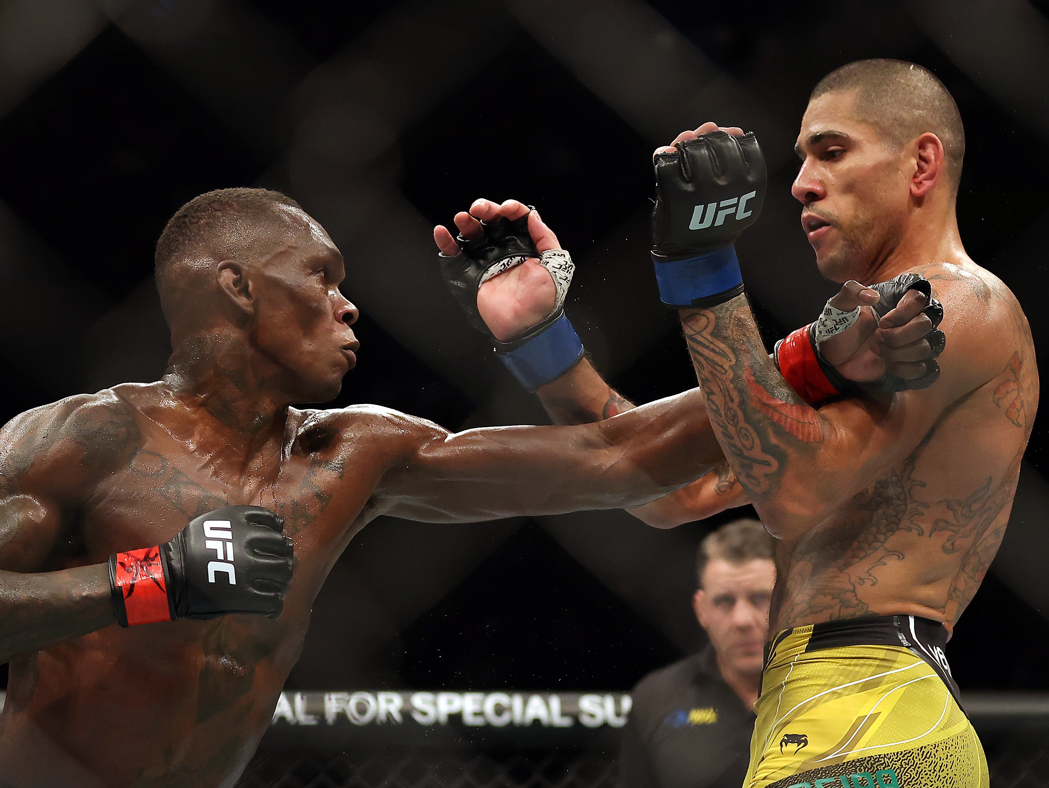 قاتل إسرائيل أديسانيا وبيريرا مرتين في الكيك بوكسينغ ومرتين في UFC