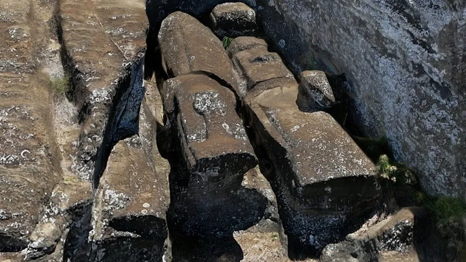 كان متوسط ​​طول التمثال 4 أمتار (13 قدمًا) ووزنه 12.5 طنًا. - كارل بي ليبو/جامعة بينجهامتون؛ تيري إل هانت/ جامعة أريزونا