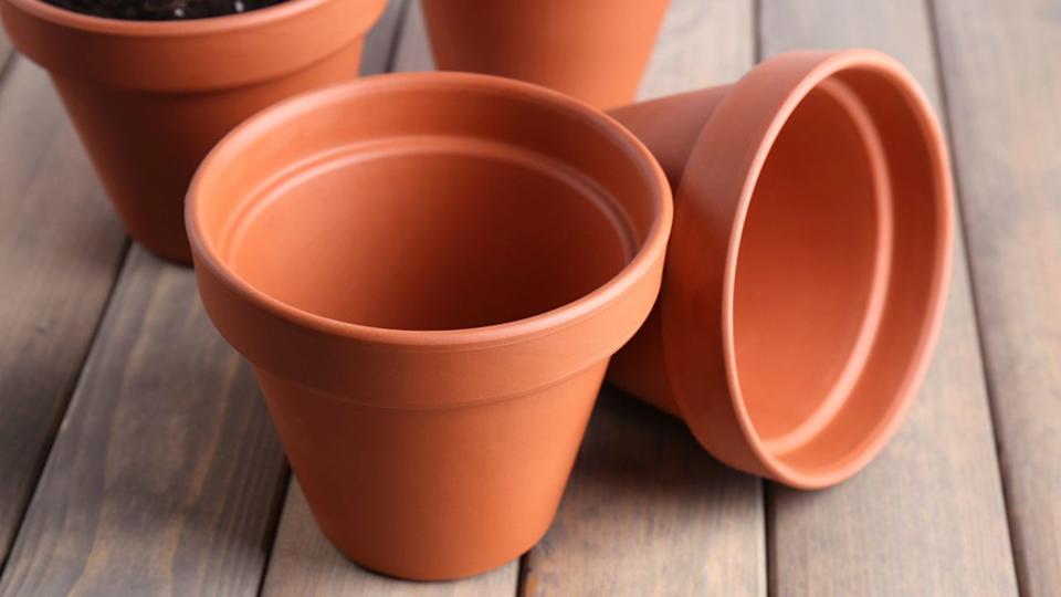 أواني الزهور الفخارية، على طاولة خشبية