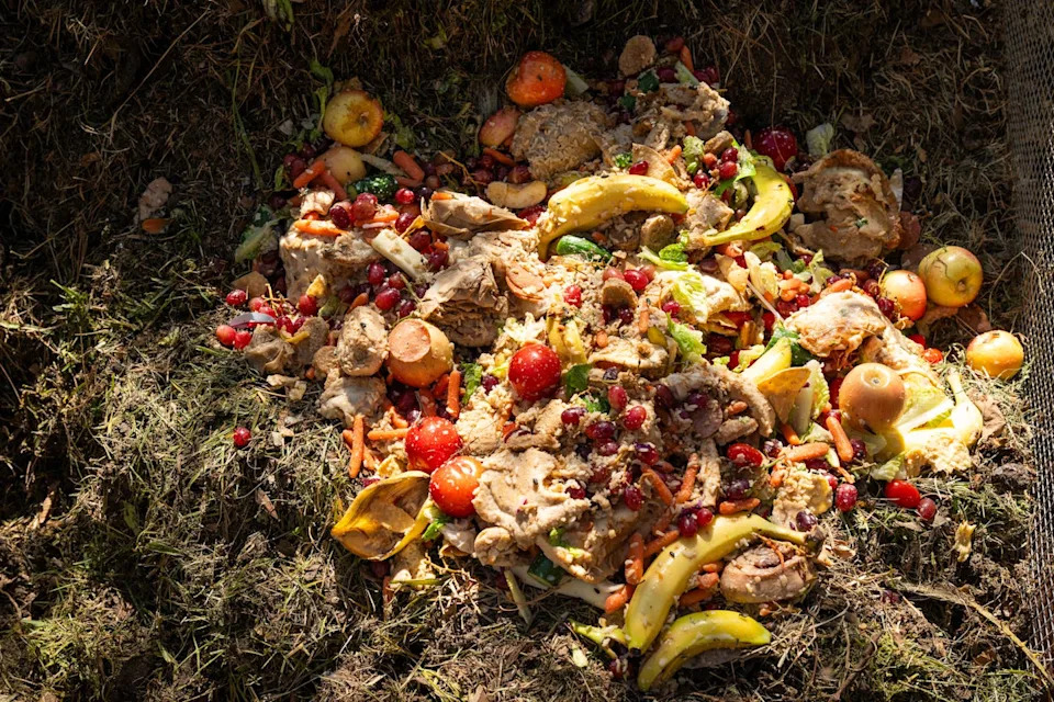بقايا الطعام والنباتات المهملة مكدسة في كومة.