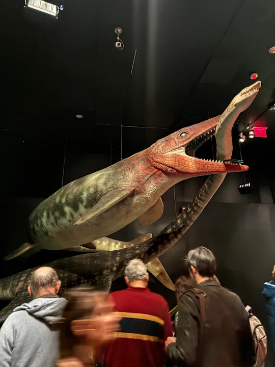 ملصقات وديوراما مختلفة للديناصورات كجزء من معرض المتحف