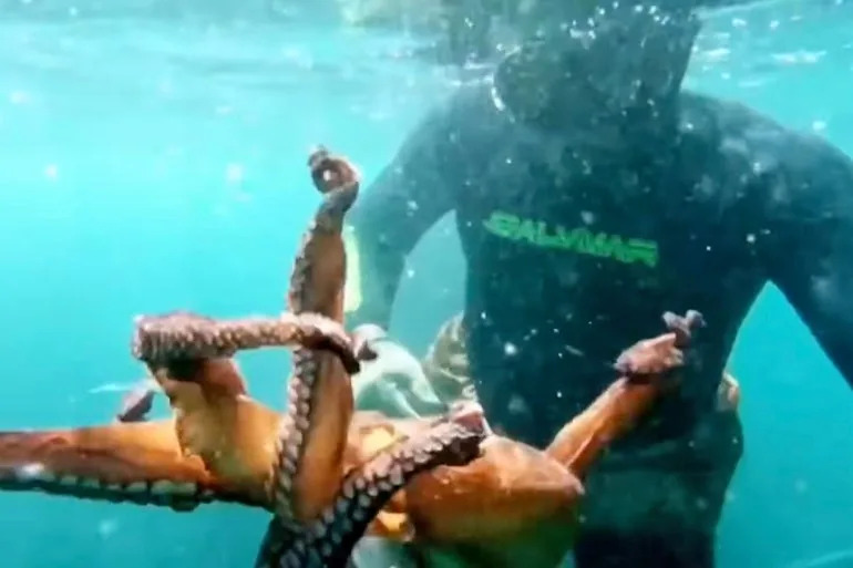 صيد السمك في غزة