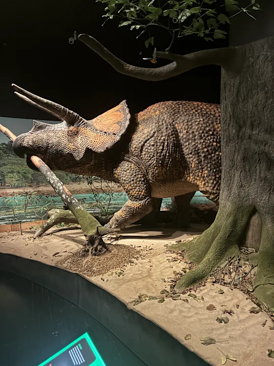 ديوراما لديناصور كجزء من معرض المتحف