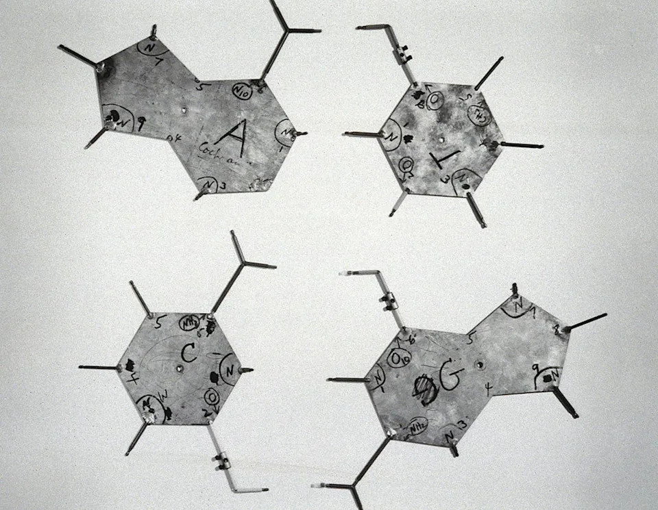 صفائح الومنيوم سداسية على شكل قواعد الادينين والجوانين والسيتوزين والثايمين