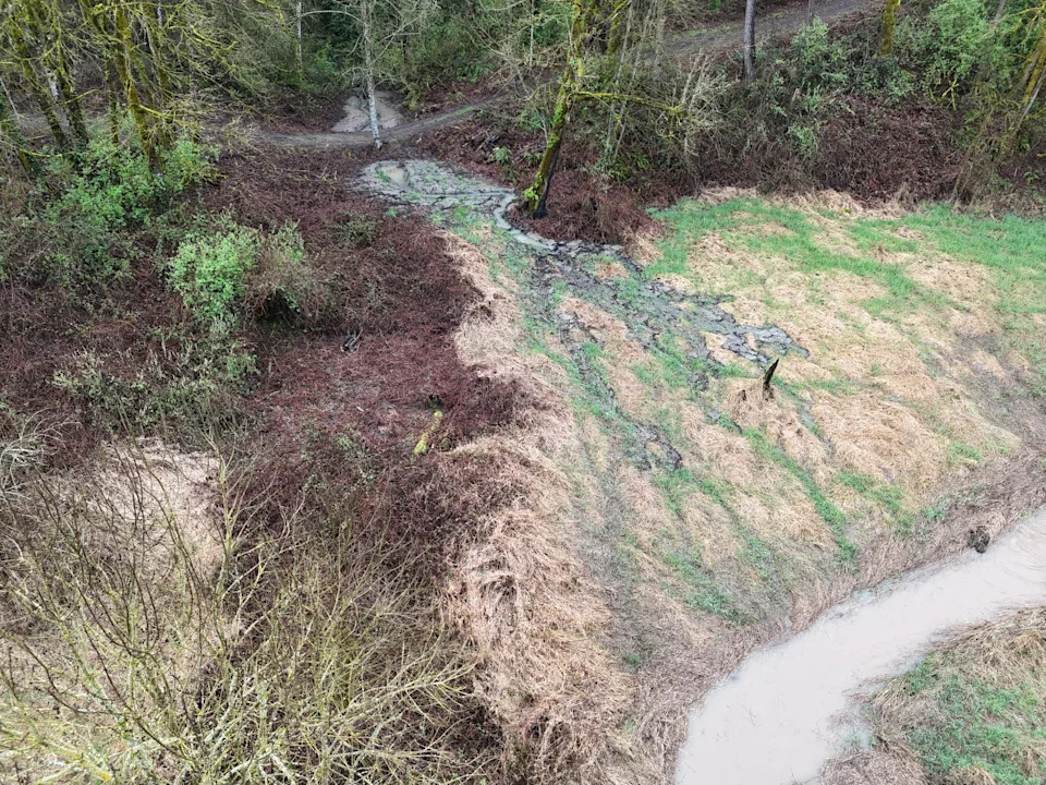 قال جيران حفرة النفايات غير المرخصة إنها تشكل خطرًا على ريان كريك القريب، كما هو موضح في هذه الصورة الملتقطة عام 2025.